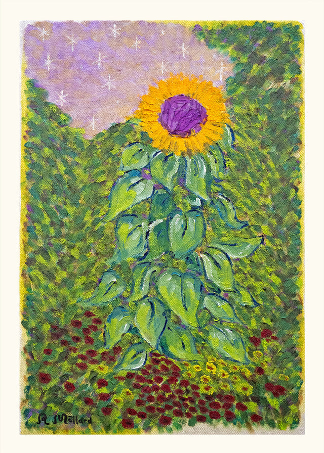 Robert Möllard - Sunflower