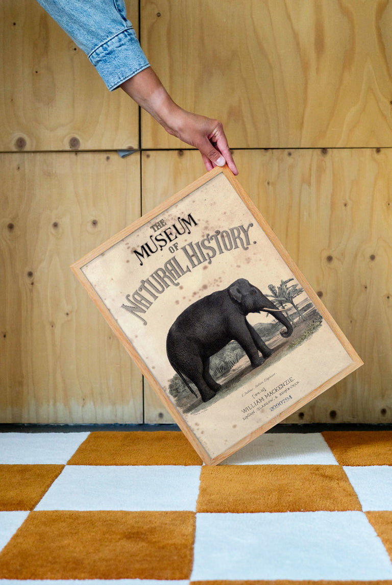 Vintage Elephant - Natural History