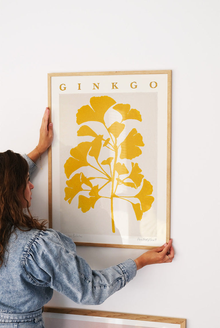 PrintedPlant - Gingo