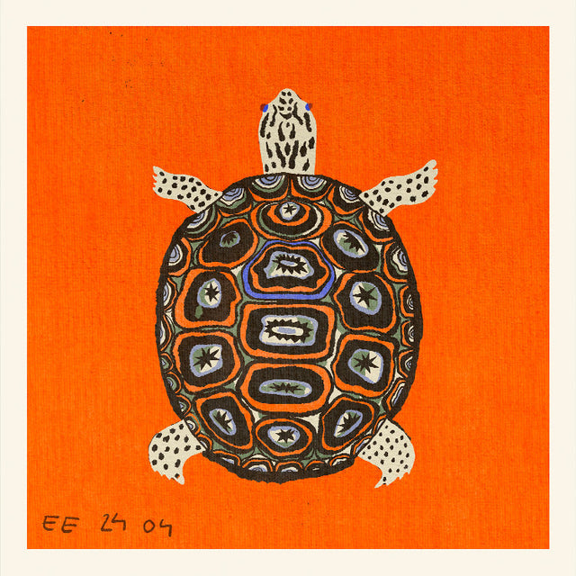 Enikő Eged - Turtle Orange | Art print Poster