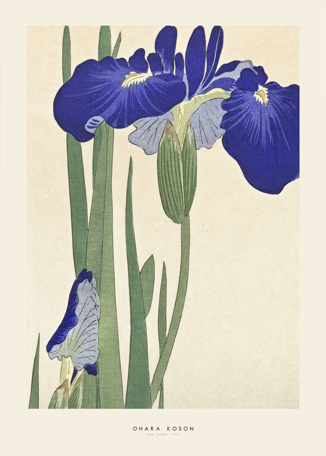 Ohara Koson - Blue Irises