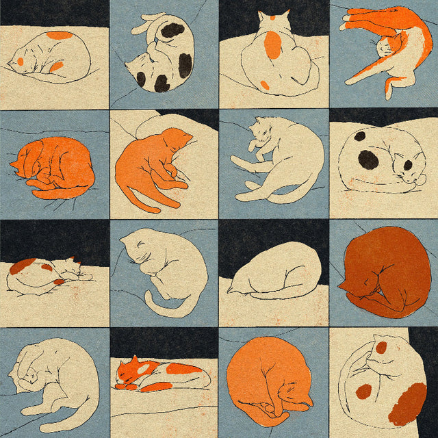 Enikő Eged - Sleeping Cat | Art print Poster