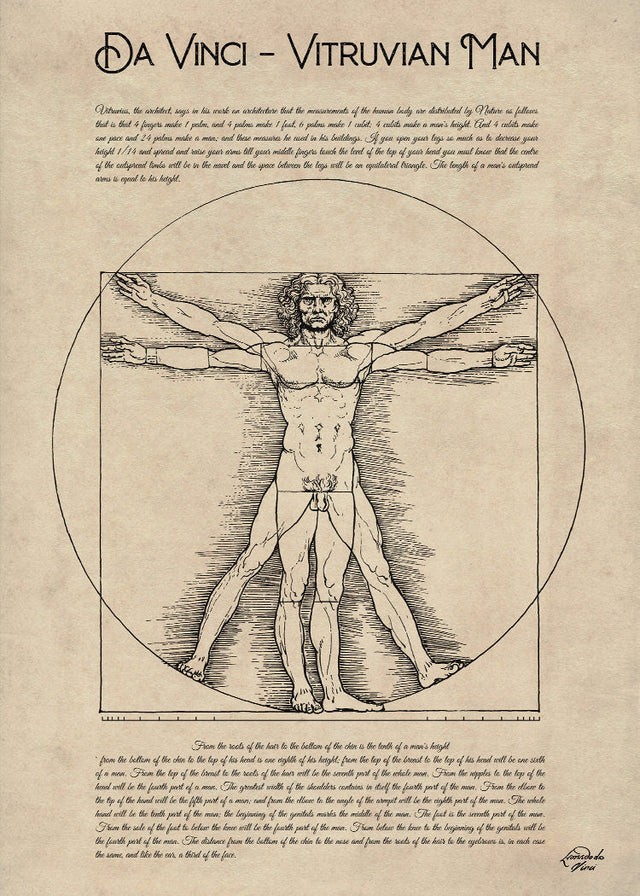 Da Vinci - Vitruvian Man