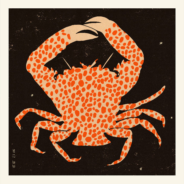 Enikő Eged - Spotted Calico Crab | Art print Poster