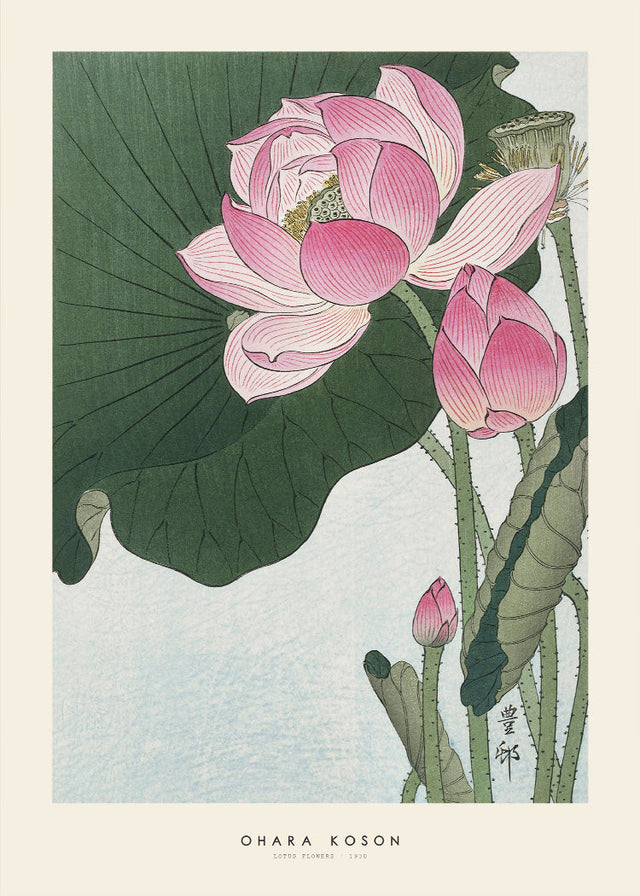 Ohara Koson - Lotus