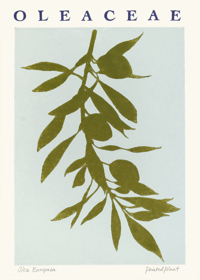 PrintedPlant - Oleaceae