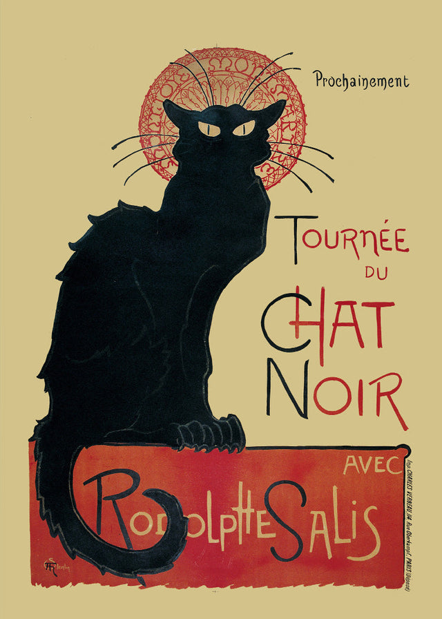 Chat Noir - Black Cat