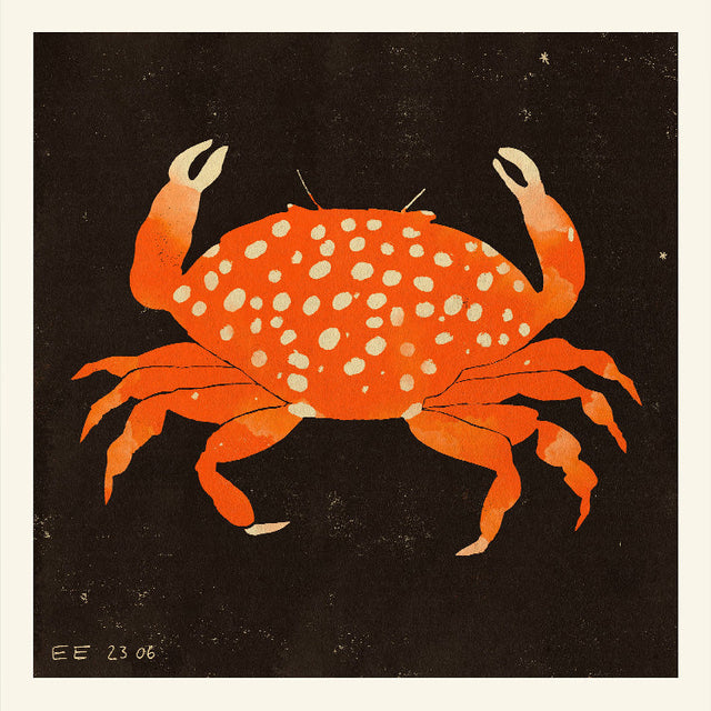 Enikő Eged - Spotted Crab | Art print Poster