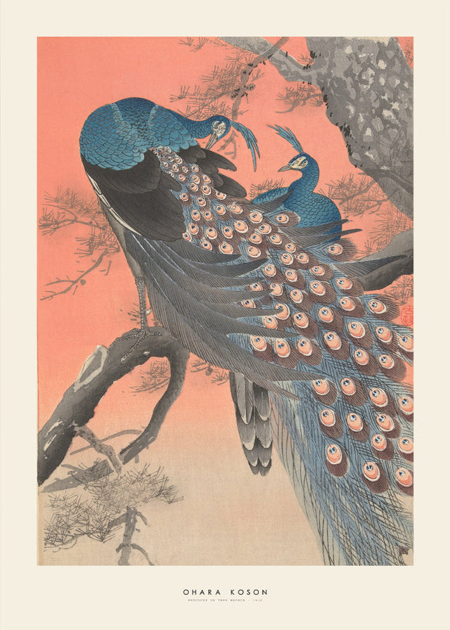 Ohara Koson - Peacocks on tree