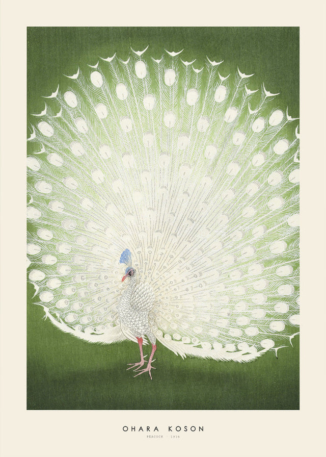 Ohara Koson - Peacock