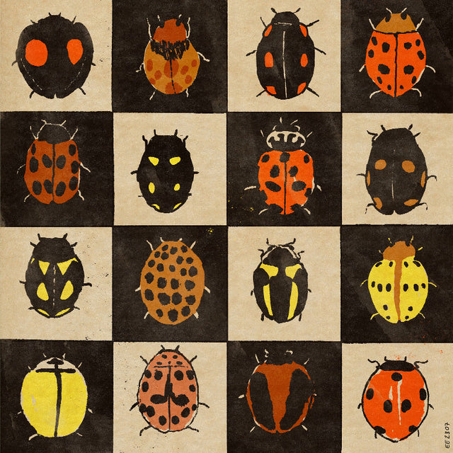 Enikő Eged - Ladybug Bingo | Art print Poster