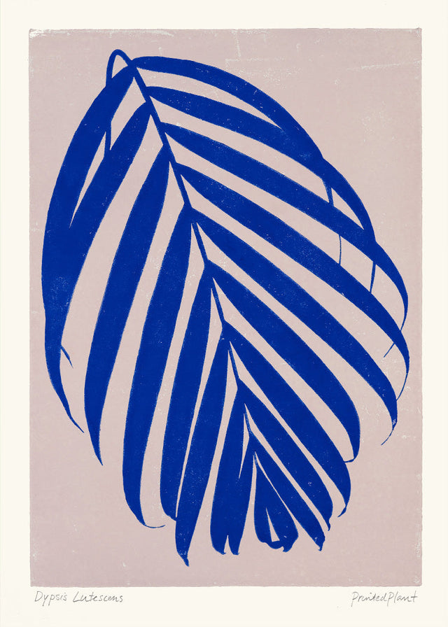 PrintedPlant - Dypsis