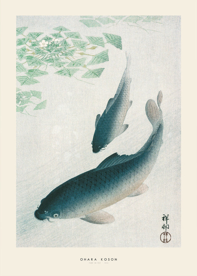 Ohara Koson - Carp or Koi