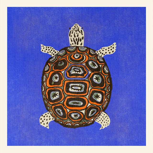 Enikő Eged - Turtle Blue | Art print Poster