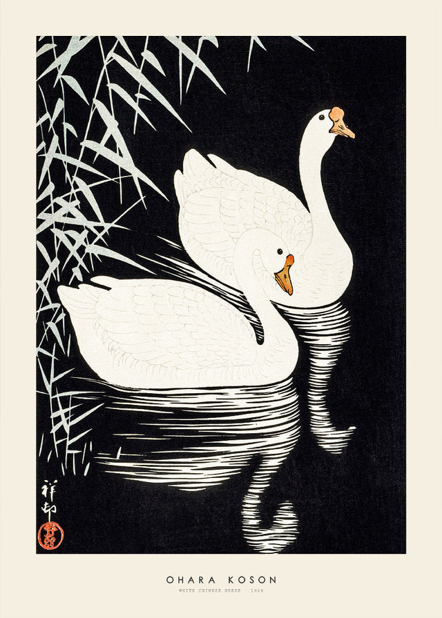 Ohara Koson - White Chinese geese